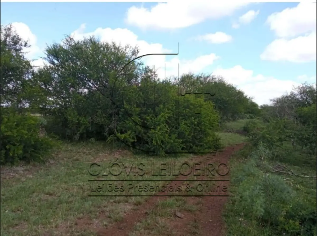 LOTE 001 - UMA FRAÇÃO DE CAMPO DE 150,57 HA, MATR.  16167 CRI ALEGRETE