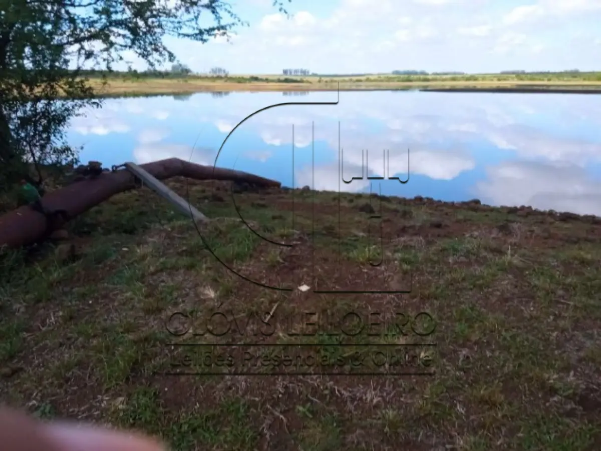 LOTE 001 - UMA FRAÇÃO DE CAMPO DE 150,57 HA, MATR.  16167 CRI ALEGRETE