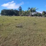 CHACARA COM 2 HECTARES INTERIOR SANTA MARIA-RS