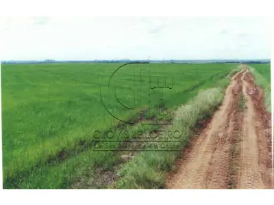 LOTE 005 - UMA FRAÇÃO DE CAMPO com área de 3.235.094m² , Matr.  14.458