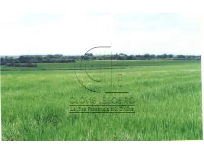 LOTE 005 - UMA FRAÇÃO DE CAMPO com área de 3.235.094m² , Matr.  14.458