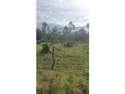 LOTE 001 - UMA FRAÇÃO DE CAMPO DE 321.000,00 M²