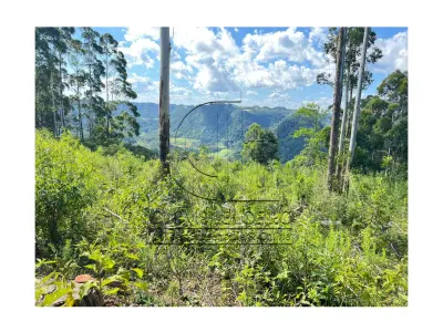 LOTE 001 - Uma Fração de terras de 140.000 m², Matr. 2.662 CRI Agudo