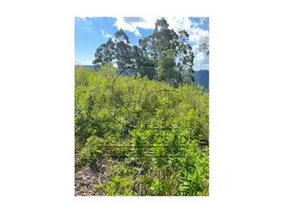 LOTE 001 - Uma Fração de terras de 140.000 m², Matr. 2.662 CRI Agudo