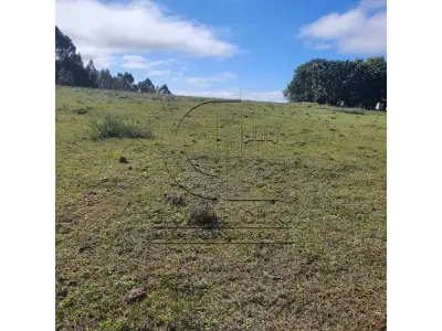 LOTE 001 - CHACARA COM 2 HECTARES INTERIOR SANTA MARIA-RS