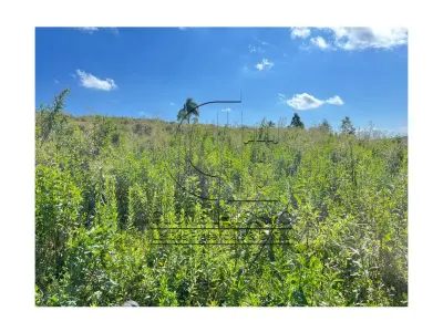 LOTE 001 - Uma Fração de terras de 140.000 m², Matr. 2.662 CRI Agudo
