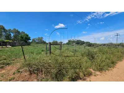 LOTE 001 - 50% do imóvel  com 49.419m², Matr 19.615