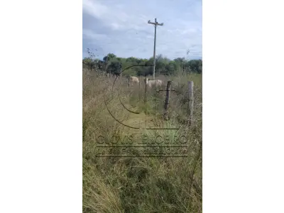 LOTE 001 - UMA FRAÇÃO DE CAMPO DE 321.000,00 M²