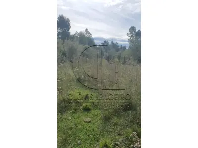 LOTE 001 - UMA FRAÇÃO DE CAMPO DE 321.000,00 M²
