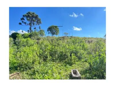 LOTE 001 - Uma Fração de terras de 140.000 m², Matr. 2.662 CRI Agudo