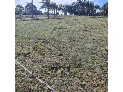 LOTE 001 - CHACARA COM 2 HECTARES INTERIOR SANTA MARIA-RS