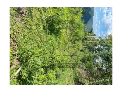 LOTE 001 - Uma Fração de terras de 140.000 m², Matr. 2.662 CRI Agudo