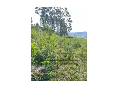 LOTE 001 - Uma Fração de terras de 140.000 m², Matr. 2.662 CRI Agudo