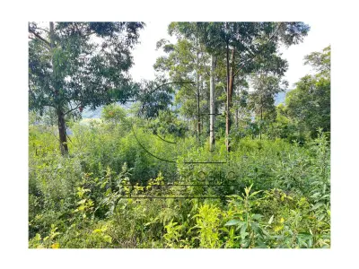 LOTE 001 - Uma Fração de terras de 140.000 m², Matr. 2.662 CRI Agudo