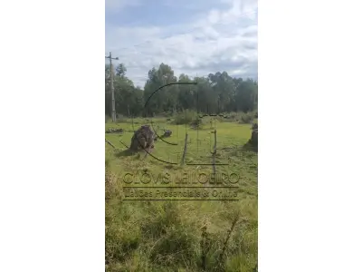 LOTE 001 - UMA FRAÇÃO DE CAMPO DE 321.000,00 M²