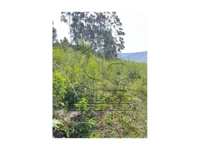 LOTE 001 - Uma Fração de terras de 140.000 m², Matr. 2.662 CRI Agudo