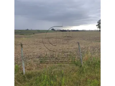 LOTE 001 - 33,70 HECTARES DE TERRAS DE CAMPO EM ACEGUÁ - RS