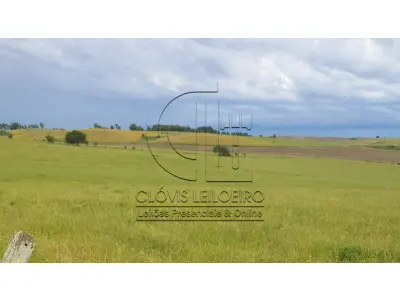 LOTE 001 - 33,70 HECTARES DE TERRAS DE CAMPO EM ACEGUÁ - RS