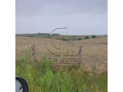 LOTE 001 - 33,70 HECTARES DE TERRAS DE CAMPO EM ACEGUÁ - RS