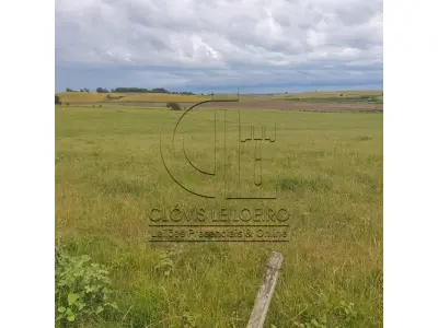 LOTE 001 - 33,70 HECTARES DE TERRAS DE CAMPO EM ACEGUÁ - RS