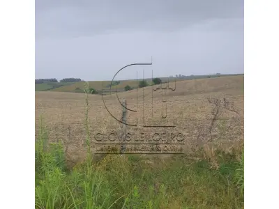 LOTE 001 - 33,70 HECTARES DE TERRAS DE CAMPO EM ACEGUÁ - RS