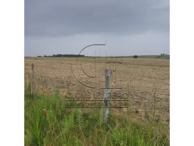 LOTE 001 - 33,70 HECTARES DE TERRAS DE CAMPO EM ACEGUÁ - RS