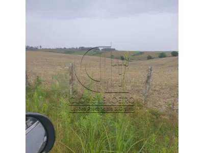 LOTE 001 - 33,70 HECTARES DE TERRAS DE CAMPO EM ACEGUÁ - RS