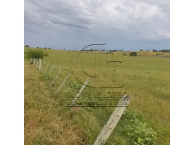 LOTE 001 - 33,70 HECTARES DE TERRAS DE CAMPO EM ACEGUÁ - RS
