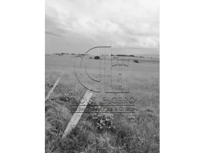 LOTE 001 - 33,70 HECTARES DE TERRAS DE CAMPO EM ACEGUÁ - RS