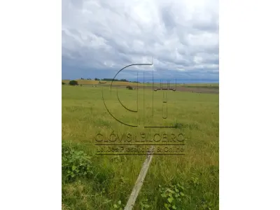 LOTE 001 - 33,70 HECTARES DE TERRAS DE CAMPO EM ACEGUÁ - RS