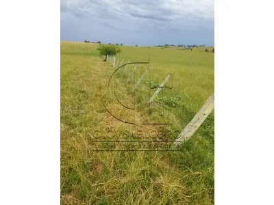 LOTE 001 - 33,70 HECTARES DE TERRAS DE CAMPO EM ACEGUÁ - RS