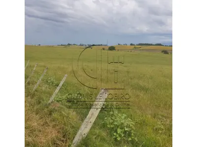 LOTE 001 - 33,70 HECTARES DE TERRAS DE CAMPO EM ACEGUÁ - RS