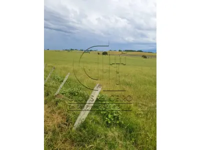 LOTE 001 - 33,70 HECTARES DE TERRAS DE CAMPO EM ACEGUÁ - RS