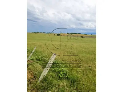 LOTE 001 - 33,70 HECTARES DE TERRAS DE CAMPO EM ACEGUÁ - RS