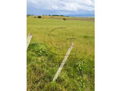 LOTE 001 - 33,70 HECTARES DE TERRAS DE CAMPO EM ACEGUÁ - RS