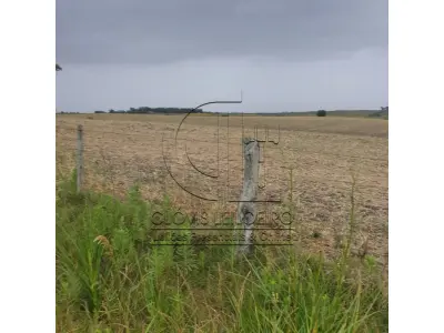 LOTE 001 - 33,70 HECTARES DE TERRAS DE CAMPO EM ACEGUÁ - RS