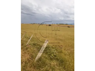 LOTE 001 - 33,70 HECTARES DE TERRAS DE CAMPO EM ACEGUÁ - RS