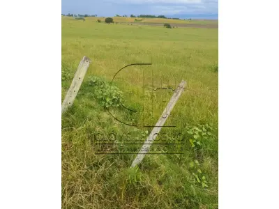 LOTE 001 - 33,70 HECTARES DE TERRAS DE CAMPO EM ACEGUÁ - RS