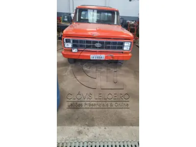 LOTE 005 - UMA CAMINHONETE, marca Ford, modelo F-1000 Placa IFI 6641