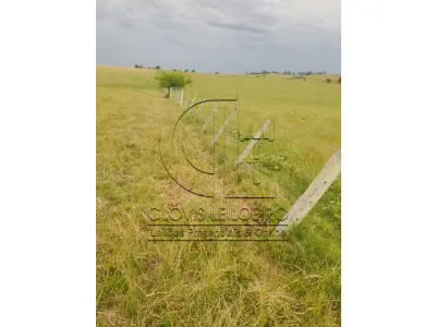 LOTE 001 - 33,70 HECTARES DE TERRAS DE CAMPO EM ACEGUÁ - RS