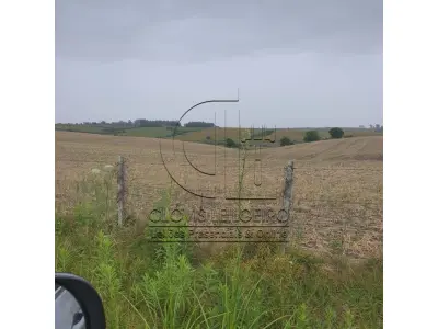 LOTE 001 - 33,70 HECTARES DE TERRAS DE CAMPO EM ACEGUÁ - RS