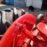 TRATOR INTERNACIONAL FARMALL D-430