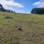 LOTE 001 - CHACARA COM 2 HECTARES INTERIOR SANTA MARIA-RS