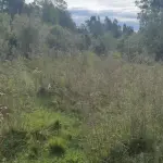 LOTE 001 - UMA FRAÇÃO DE CAMPO DE 321.000,00 M²