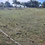 LOTE 001 - CHACARA COM 2 HECTARES INTERIOR SANTA MARIA-RS