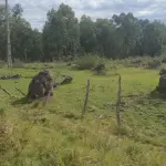 LOTE 001 - UMA FRAÇÃO DE CAMPO DE 321.000,00 M²