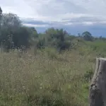 LOTE 001 - UMA FRAÇÃO DE CAMPO DE 321.000,00 M²