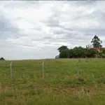 LOTE 001 - CHACARA COM 2 HECTARES INTERIOR SANTA MARIA-RS