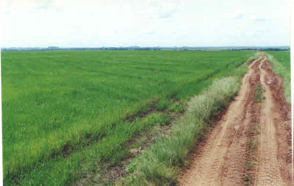 UMA FRAÇÃO DE CAMPO com área de 3.235.094m² , Matr. 14.458, localizado em Alegrete - RS