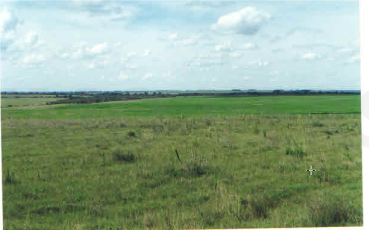 UMA FRAÇÃO DE CAMPO com área de 3.235.094m² , Matr. 14.458, localizado em Alegrete - RS